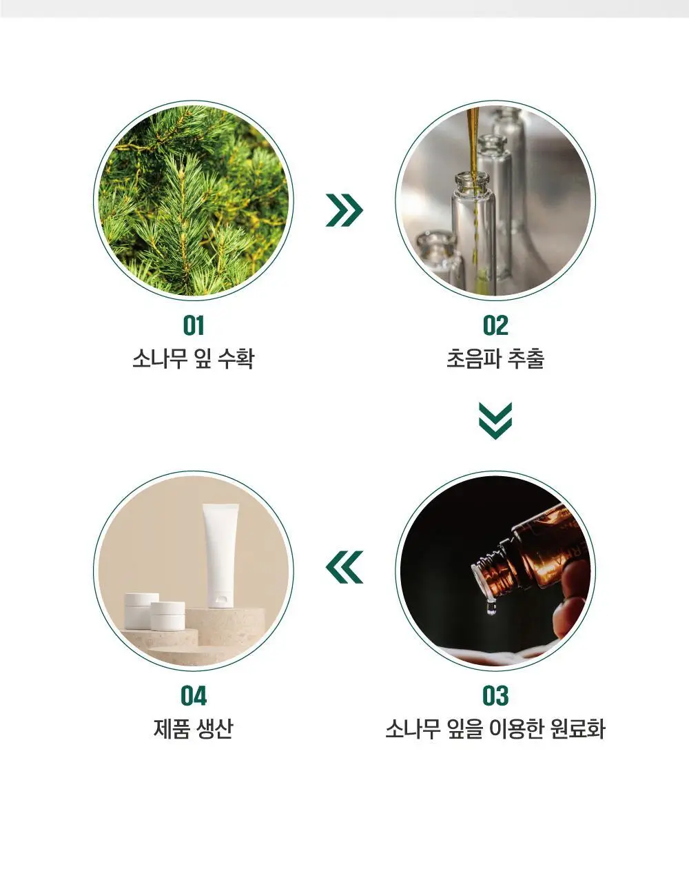[집중진정] 라운드랩 소나무 진정 시카 앰플 30ml 리필팩 상세페이지 10